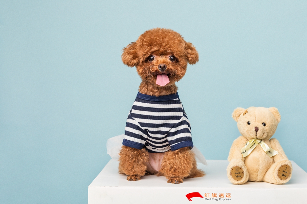 玩具香港轉(zhuǎn)運到中國